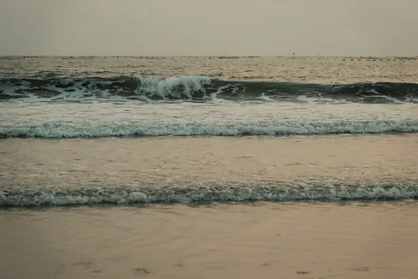 海邊去不爛